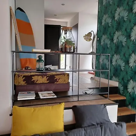 Ferienhaus Maison Moderne, Pres Des Plages Et De La Foret. *
