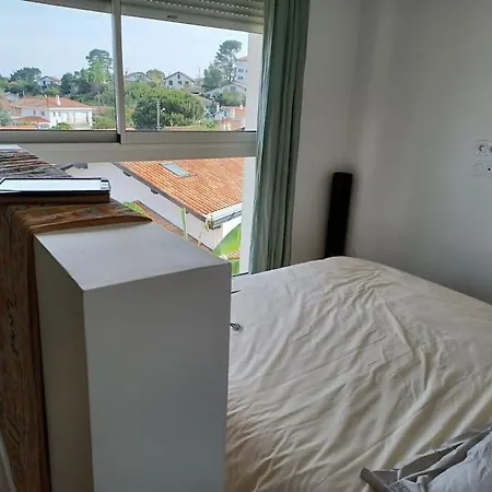 Maison Moderne, Pres Des Plages Et De La Foret. Ferienhaus Anglet
