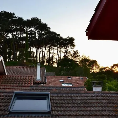 Maison Moderne, Pres Des Plages Et De La Foret. *